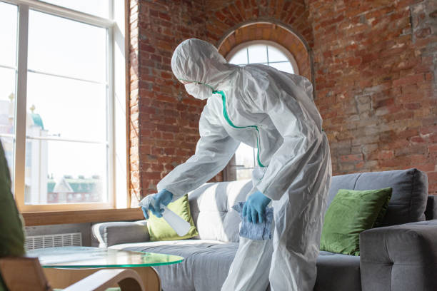 Why You Should Choose Our Mold Remediation Services in Mio, MI