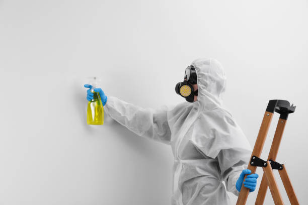 Best Commercial Mold Inspection  in O, MI